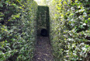 Hedge Labyrinth