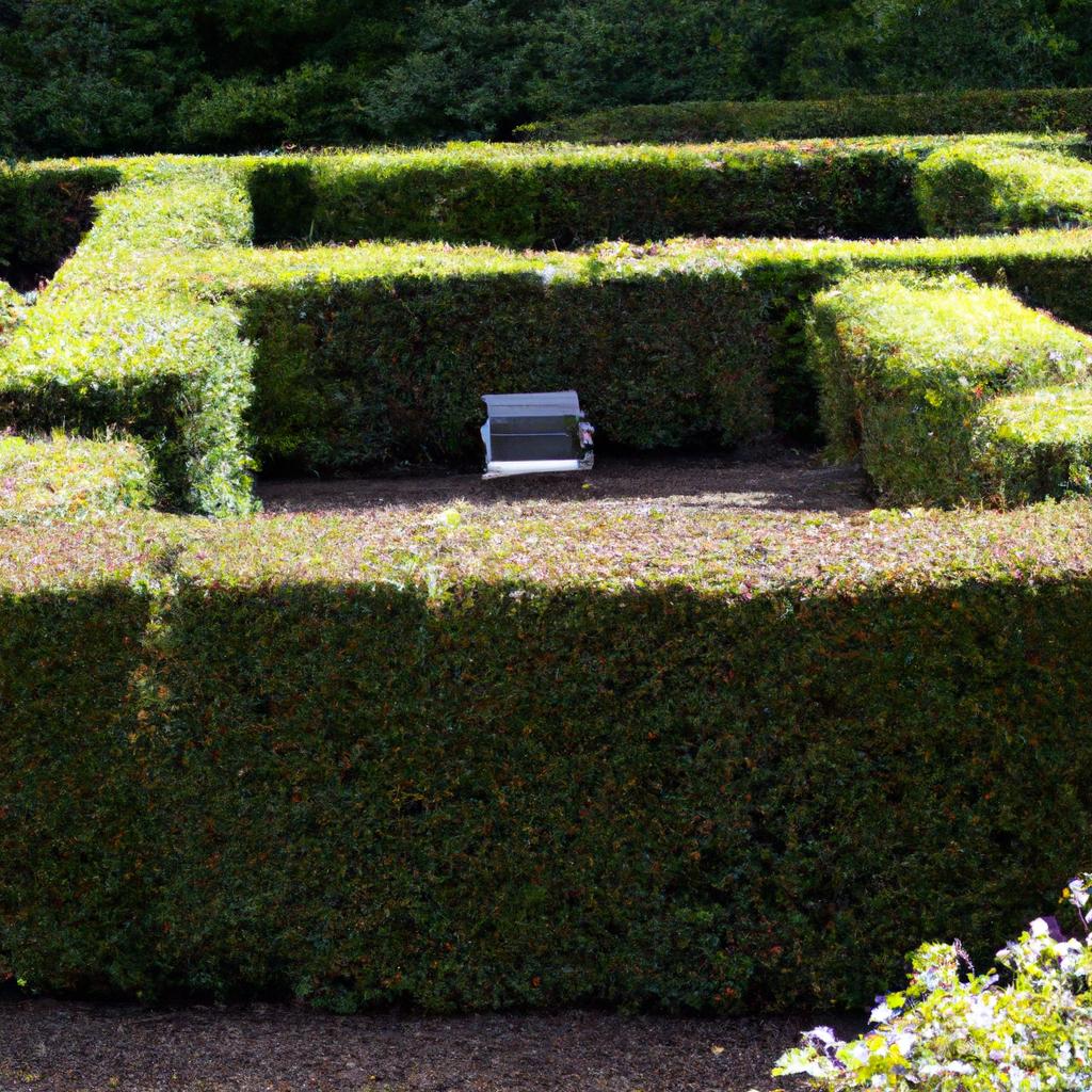 Take a moment to relax and enjoy the peaceful surroundings of the hedge labyrinth.
