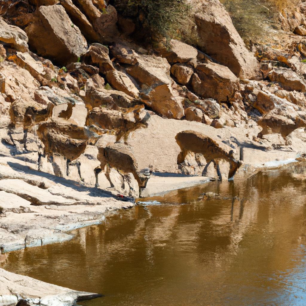 A herd of ibex quenching their thirst from the river downstream of the Ibex Dam