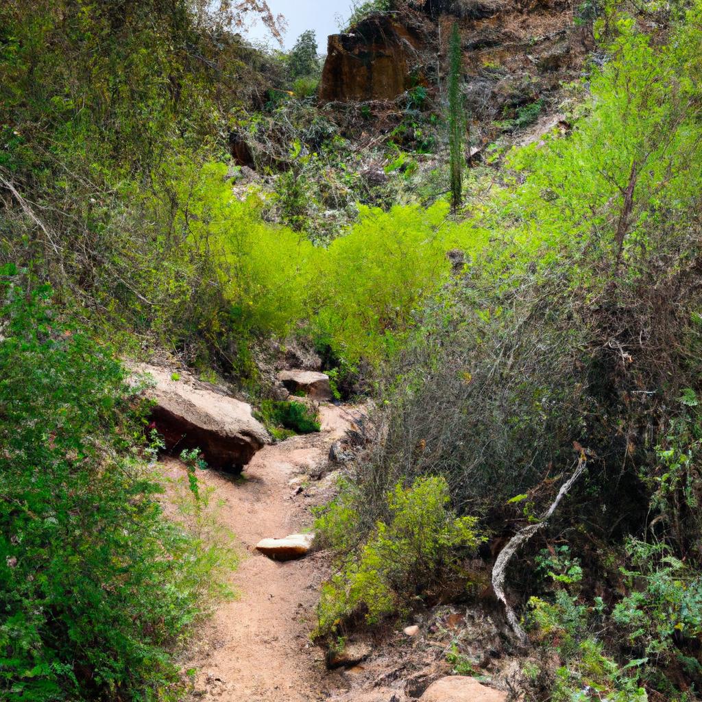 Take a hike to Hidden Falls Arizona and explore the wonders of nature