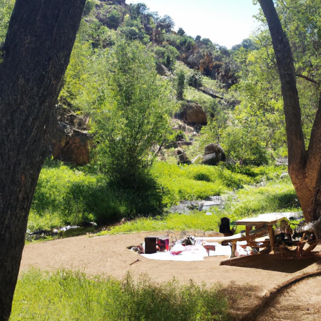 Enjoy a peaceful picnic amidst the lush greenery of Hidden Falls Arizona
