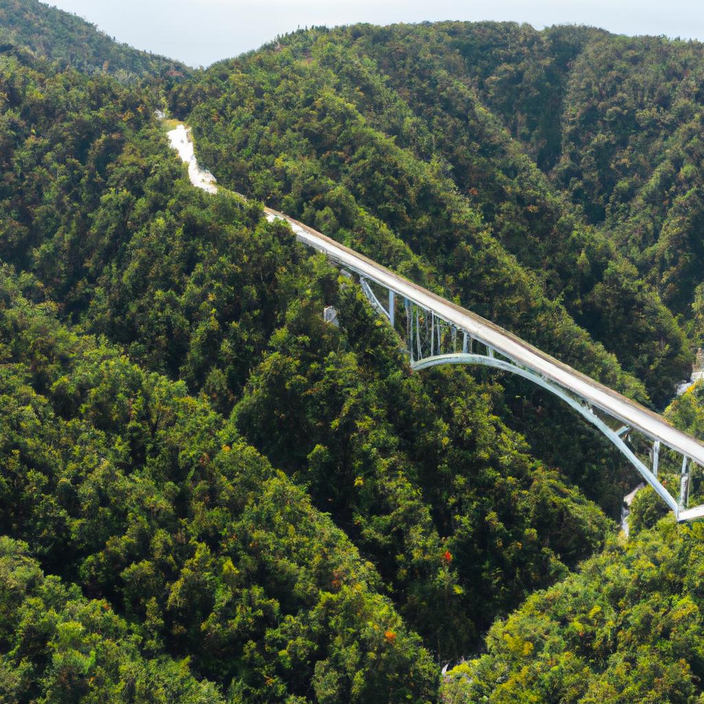 This stunning aerial view showcases the impressive height and length of the highest bridge in Japan.
