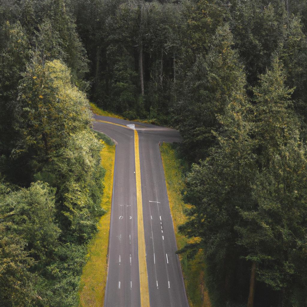 The Pacific Northwest's scenic drive through the forest