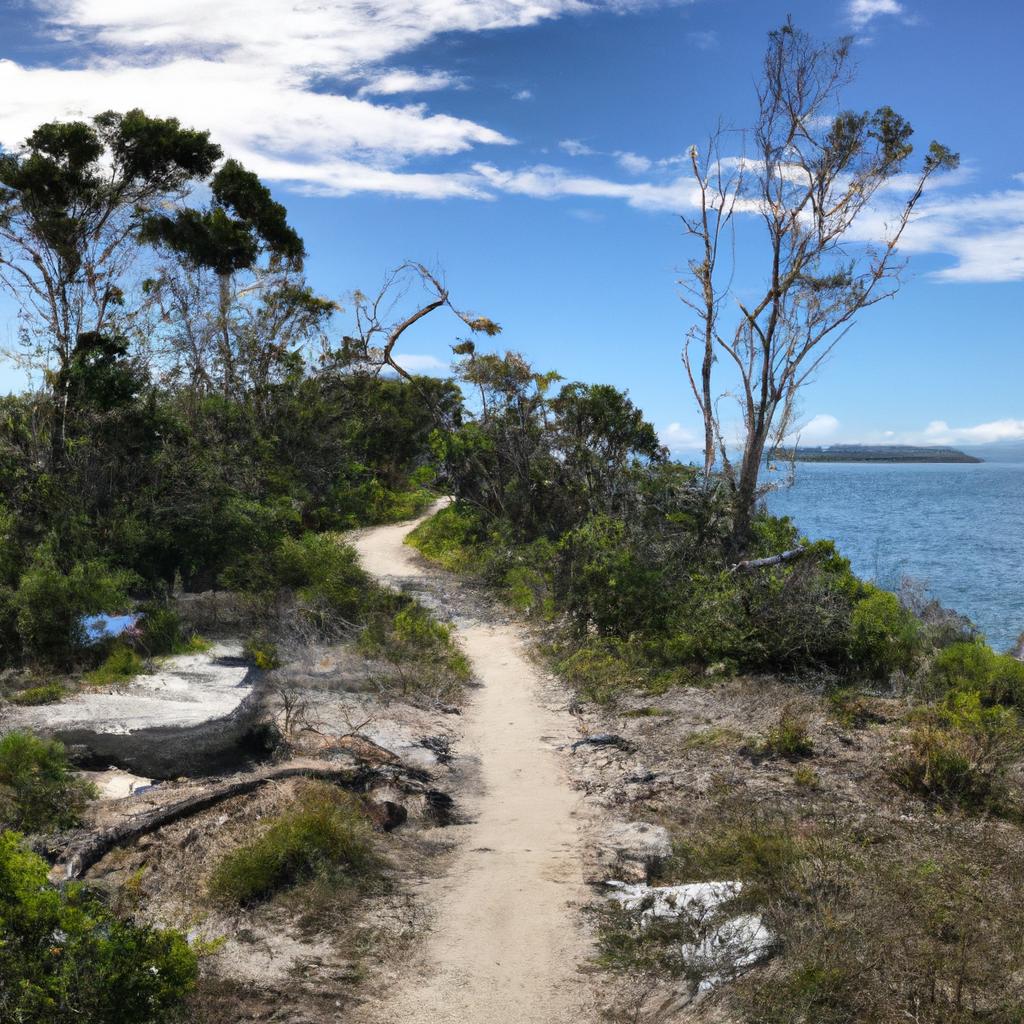 The scenic hiking trail on Crab Island Australia offers breathtaking views of the island's lush greenery and wildlife.