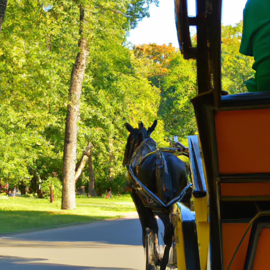 Experiencing the charm of Central Park on a horse-drawn carriage ride
