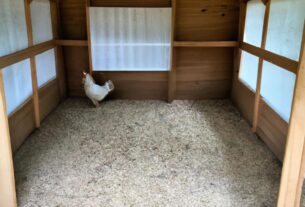 How To Build The Perfect Chicken Coop For Your Backyard