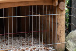 How To Build The Perfect Outdoor Enclosure For Your Pet