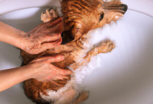 How To Make Your Own Natural Pet Shampoo