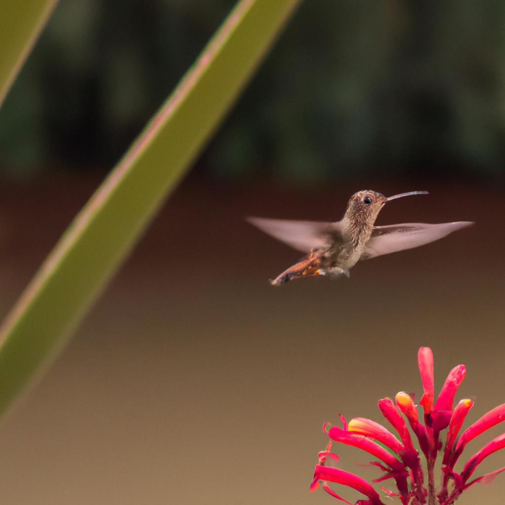 Hummingbirds are a beautiful sight to see in any garden