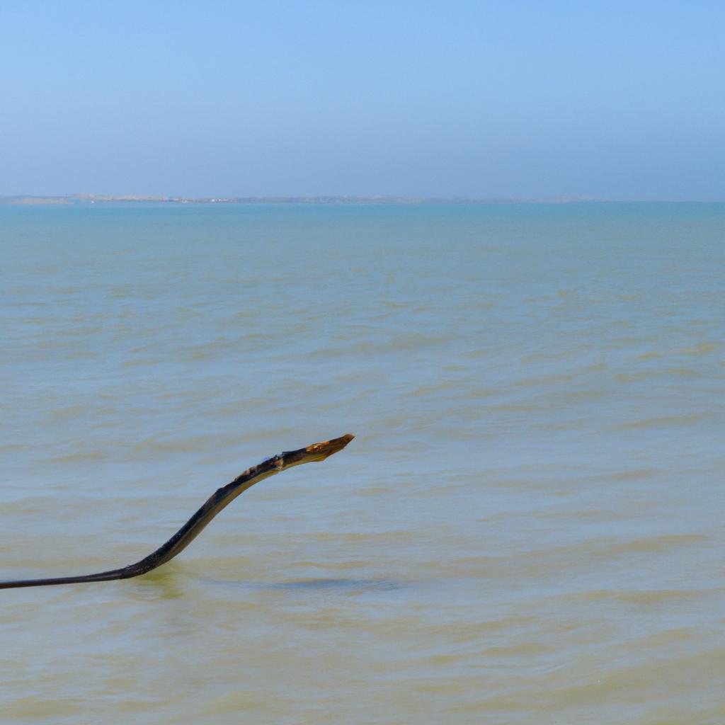 A sea serpent with a forked tongue surfaces near the Île de Ré.