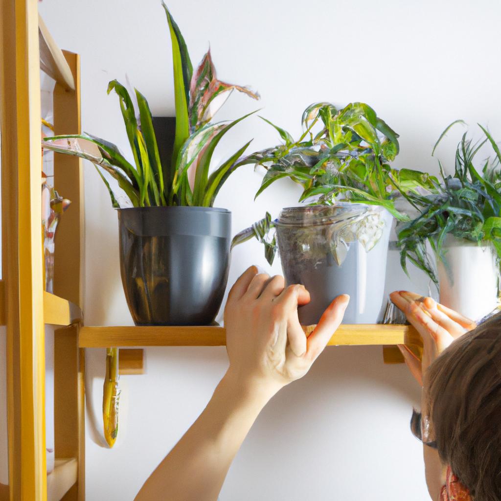 Decorating your home with indoor plants can add a natural and stylish touch to any room.