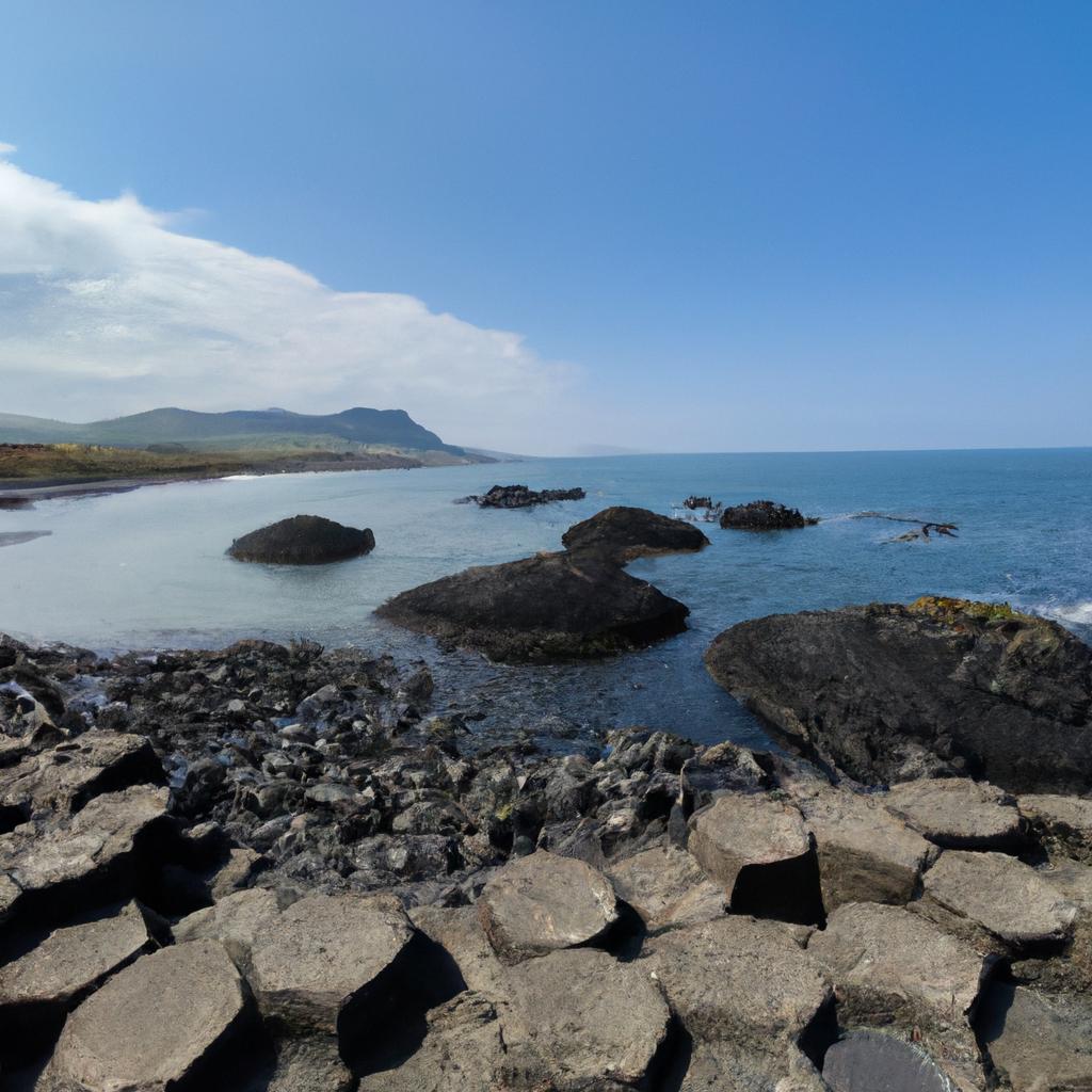 Enjoying the breathtaking view of the Irish coastline with its imposing hexagonal rocks