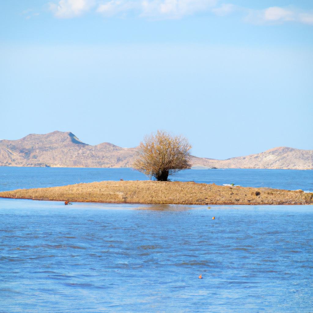 The tree on the island in the desert lake is a symbol of resilience and survival.