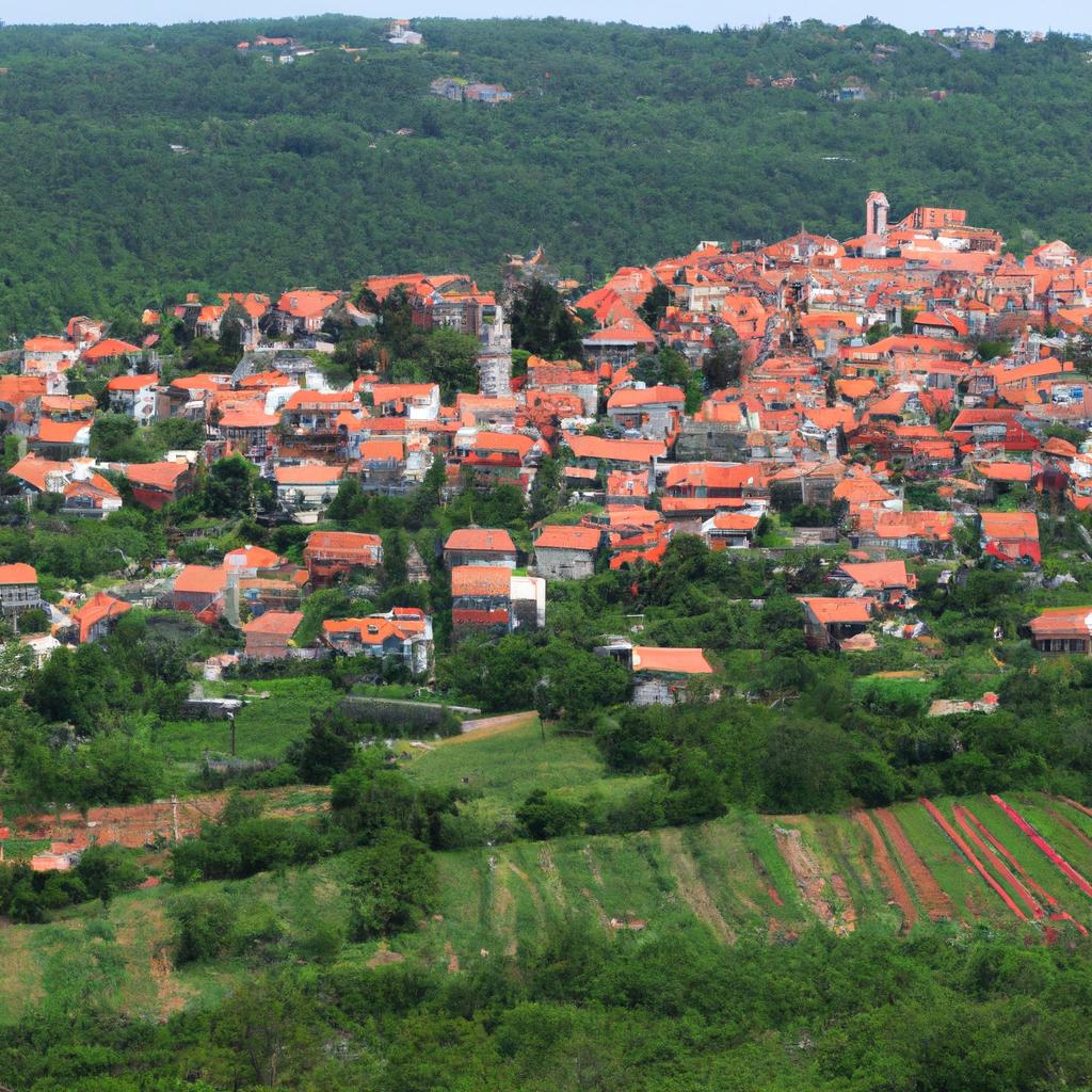 Istria Hilltop Village