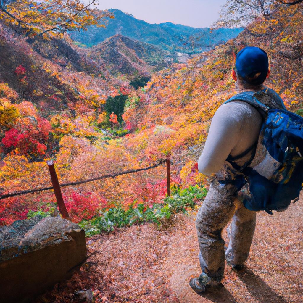 Jigokudani Valley is a beautiful place to visit year-round, but autumn brings a stunning display of colorful foliage.