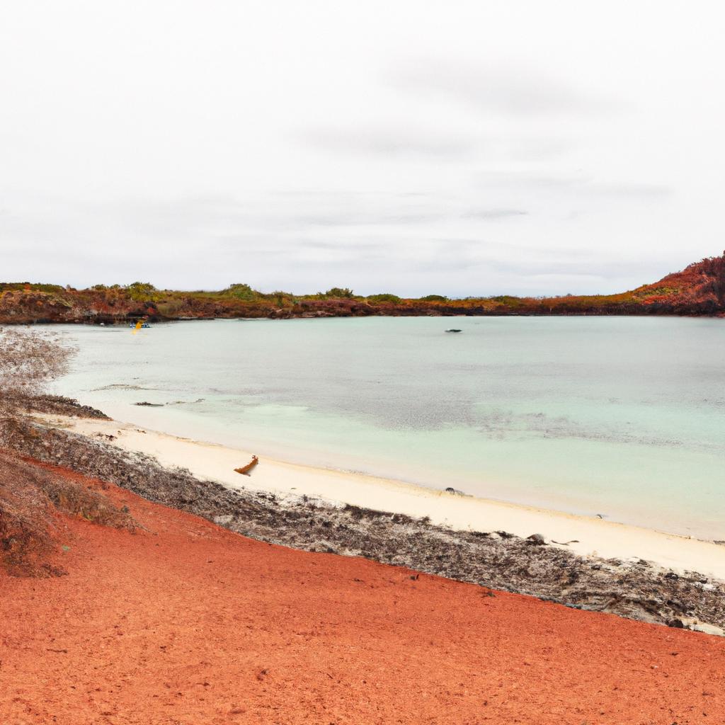 The unique red sand beach on Rabida Island Galapagos, surrounded by the turquoise waters of the Pacific Ocean.