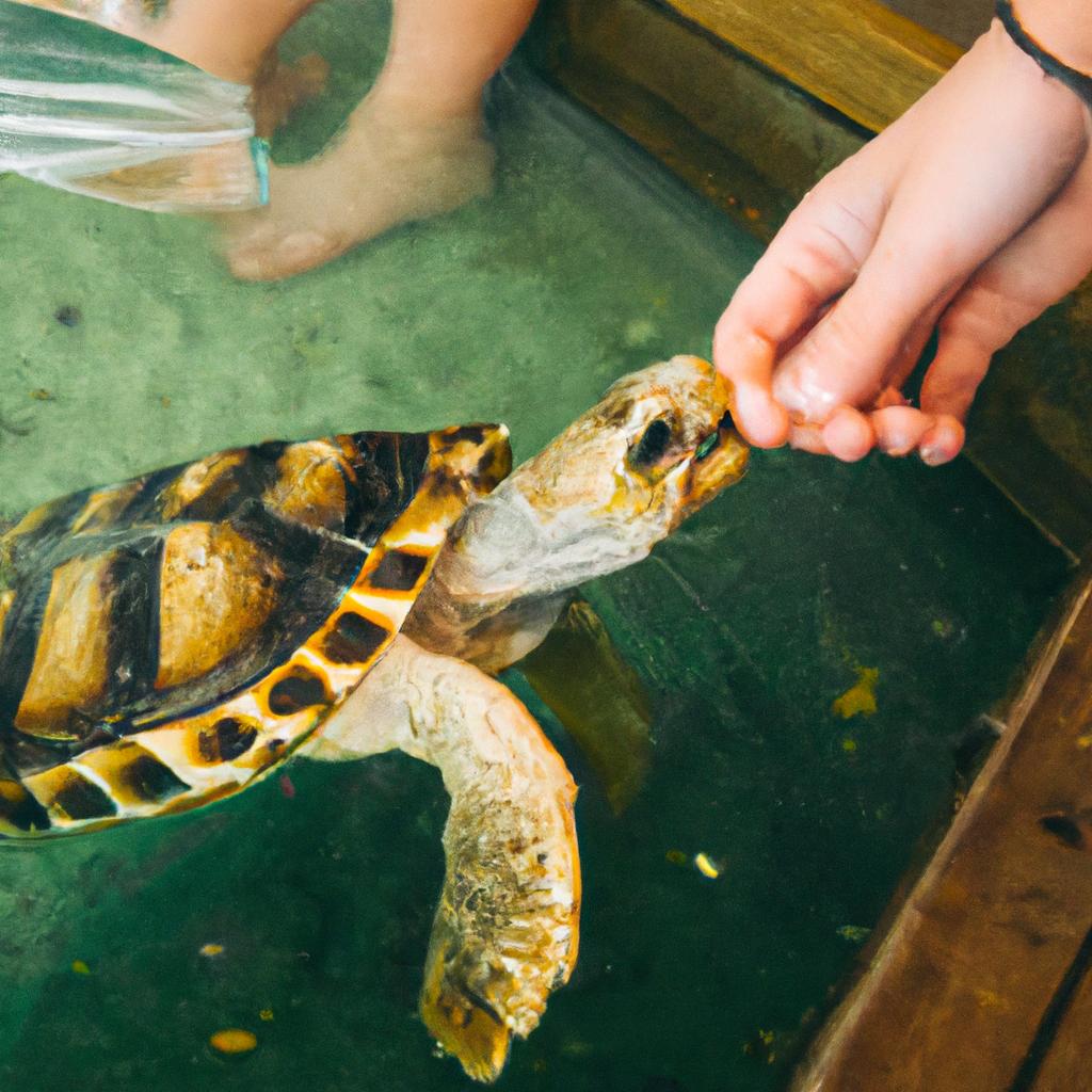 Turtles are quiet pets that can be a great addition to a busy household.