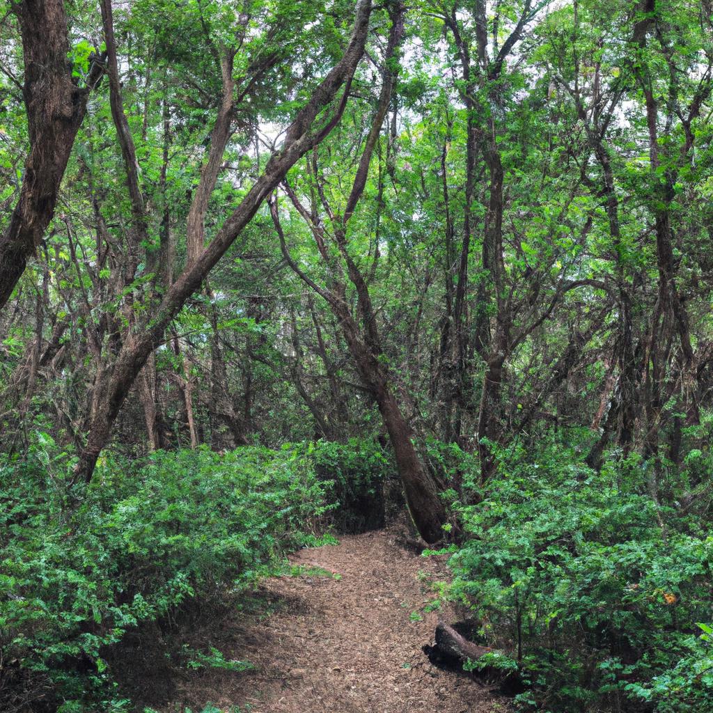 The dense forests of Isla Ojo are home to an array of exotic plant and animal species.