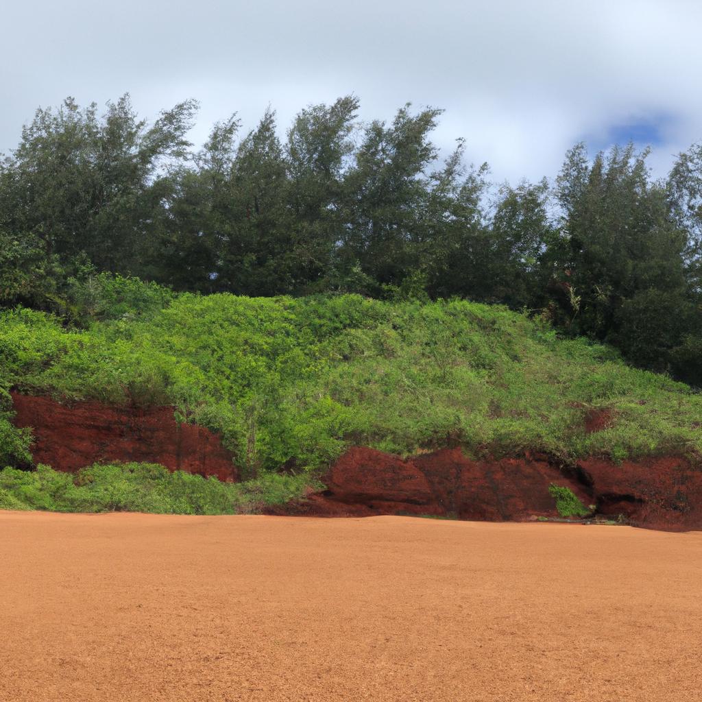 The lush greenery surrounding the red sand beach provides a perfect backdrop for a relaxing day out.
