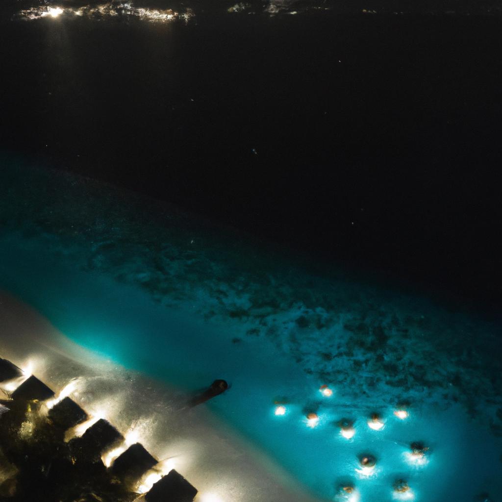 Maldives Starry Beach