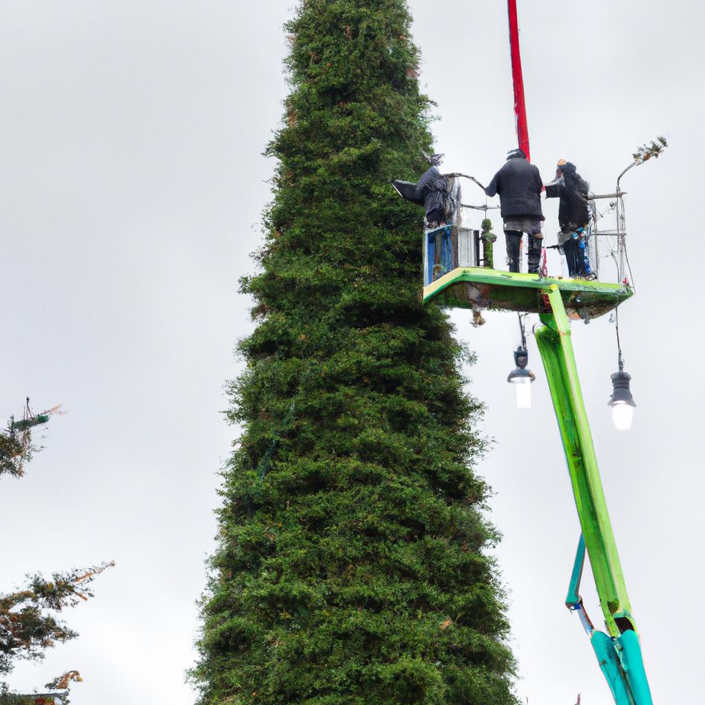 Guinness World Records requires precise measurements to verify the height of the tallest Christmas tree in the world.