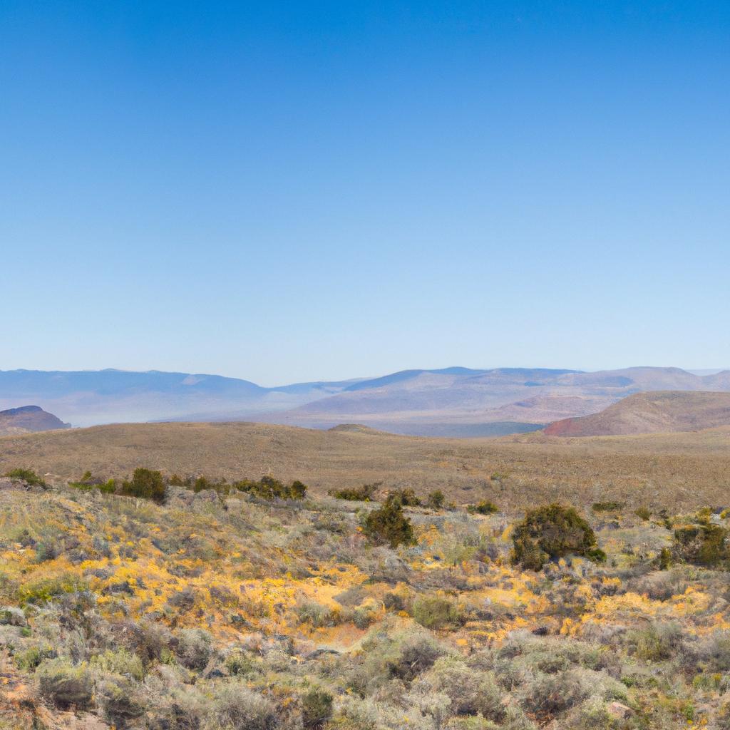 The beauty of the Nevada terrain is on full display.