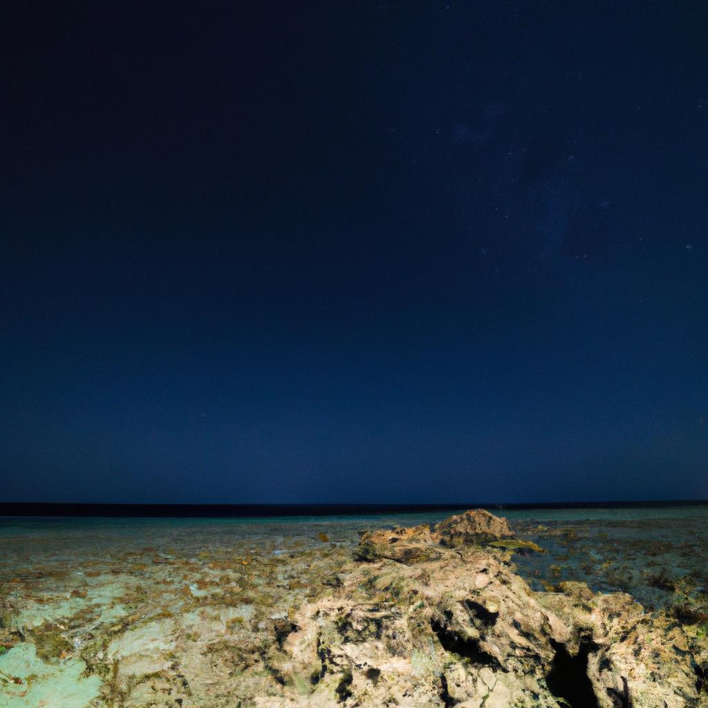 The beautiful night sky over the coral reef is a breathtaking sight to see.