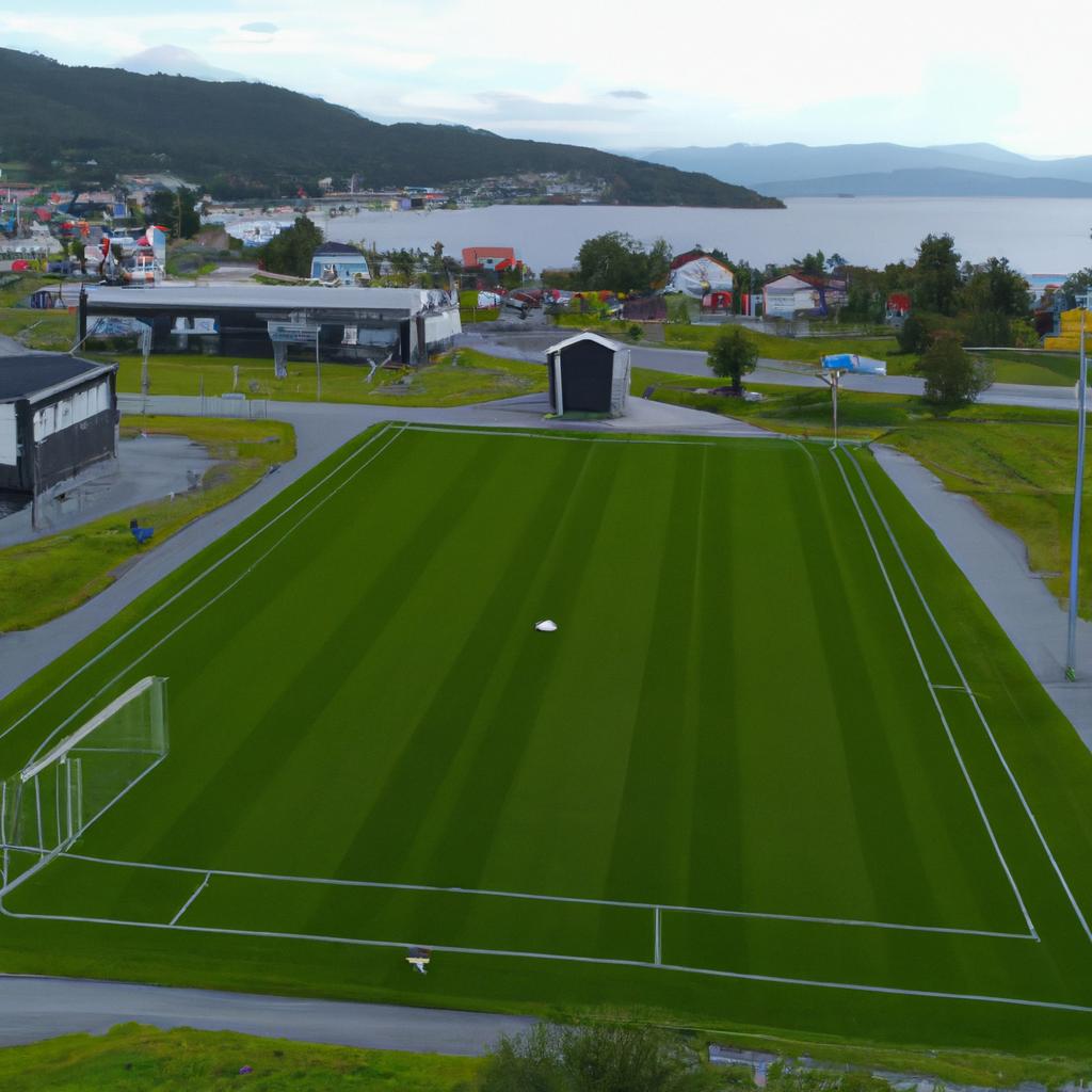 High-quality soccer fields not only improve the players' experience but also benefit the community by promoting physical activity and social interaction.