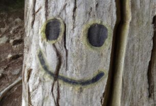 Oregon Smiley Face Trees