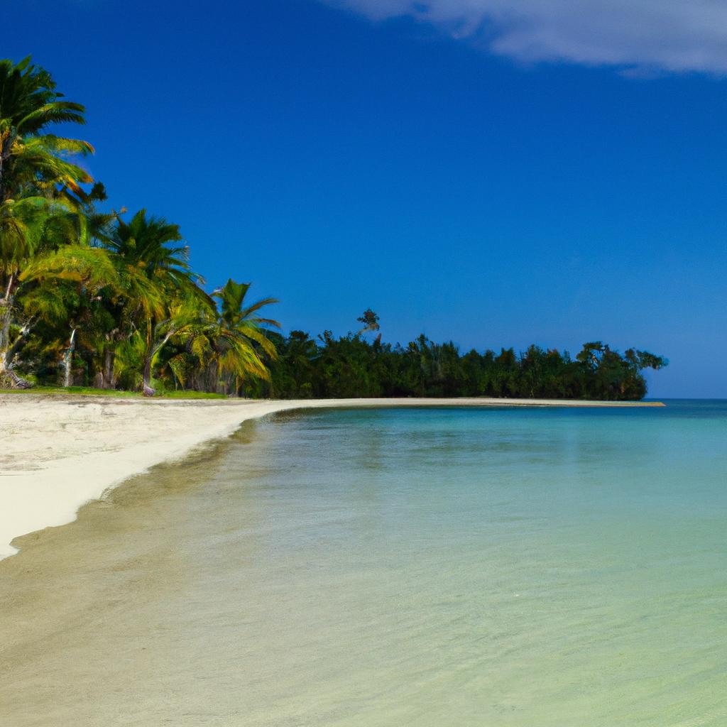 Relax under the shade of palm trees and swim in the turquoise waters of this beautiful white sand beach