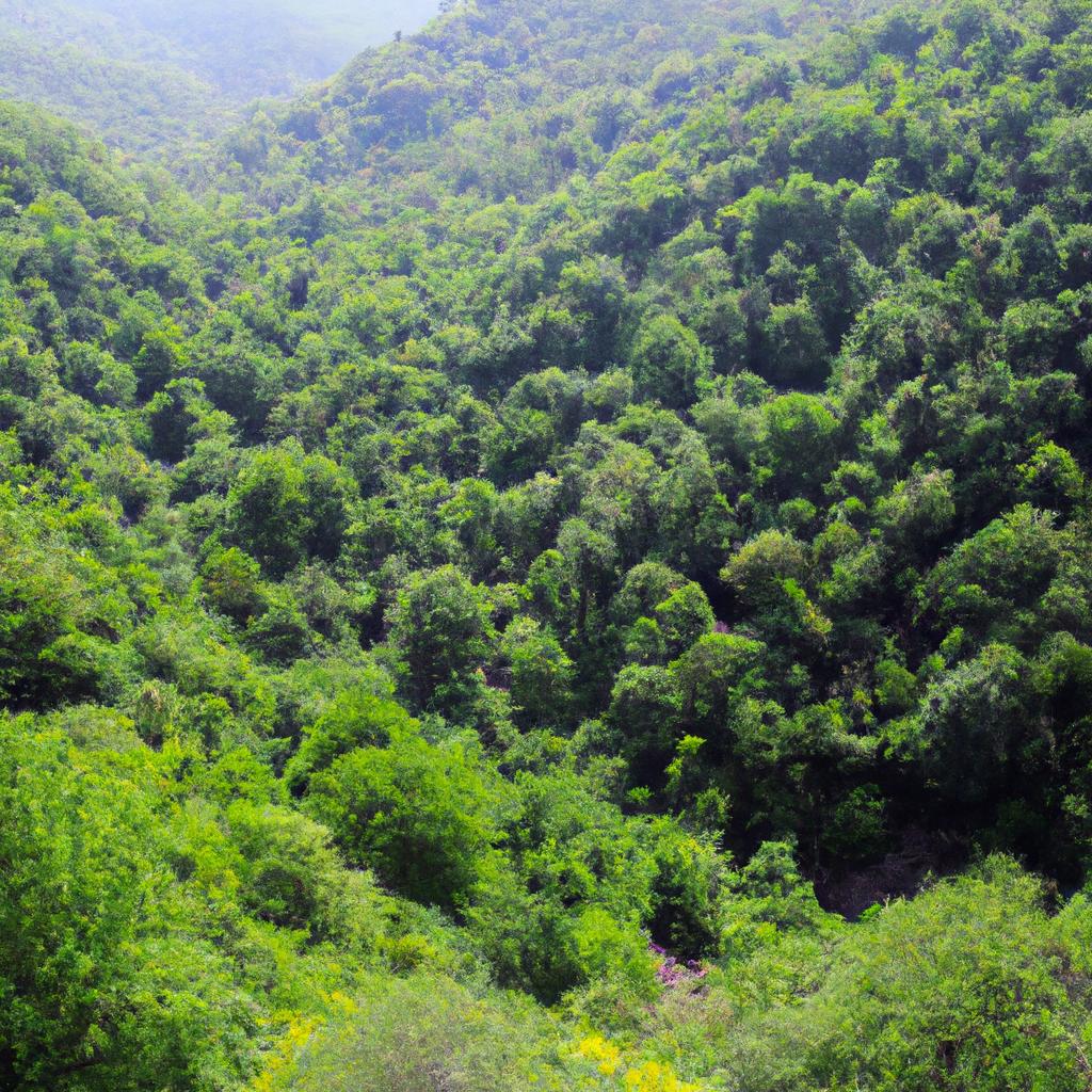The lush forests on an Iranian island provide a haven for nature lovers and hikers.