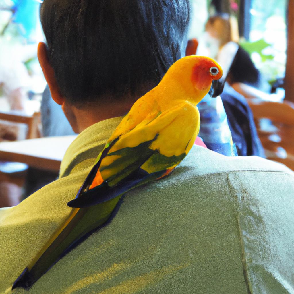 Feathery friends are welcome at this pet-friendly cafe