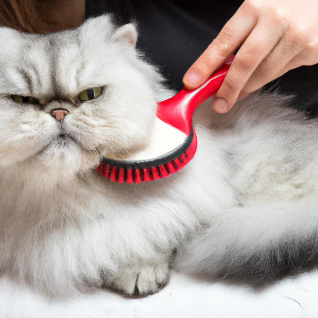 Persians are known for their long, luxurious fur, but they do require regular grooming. Involving kids in the grooming process can help teach responsibility and deepen the bond between pet and child