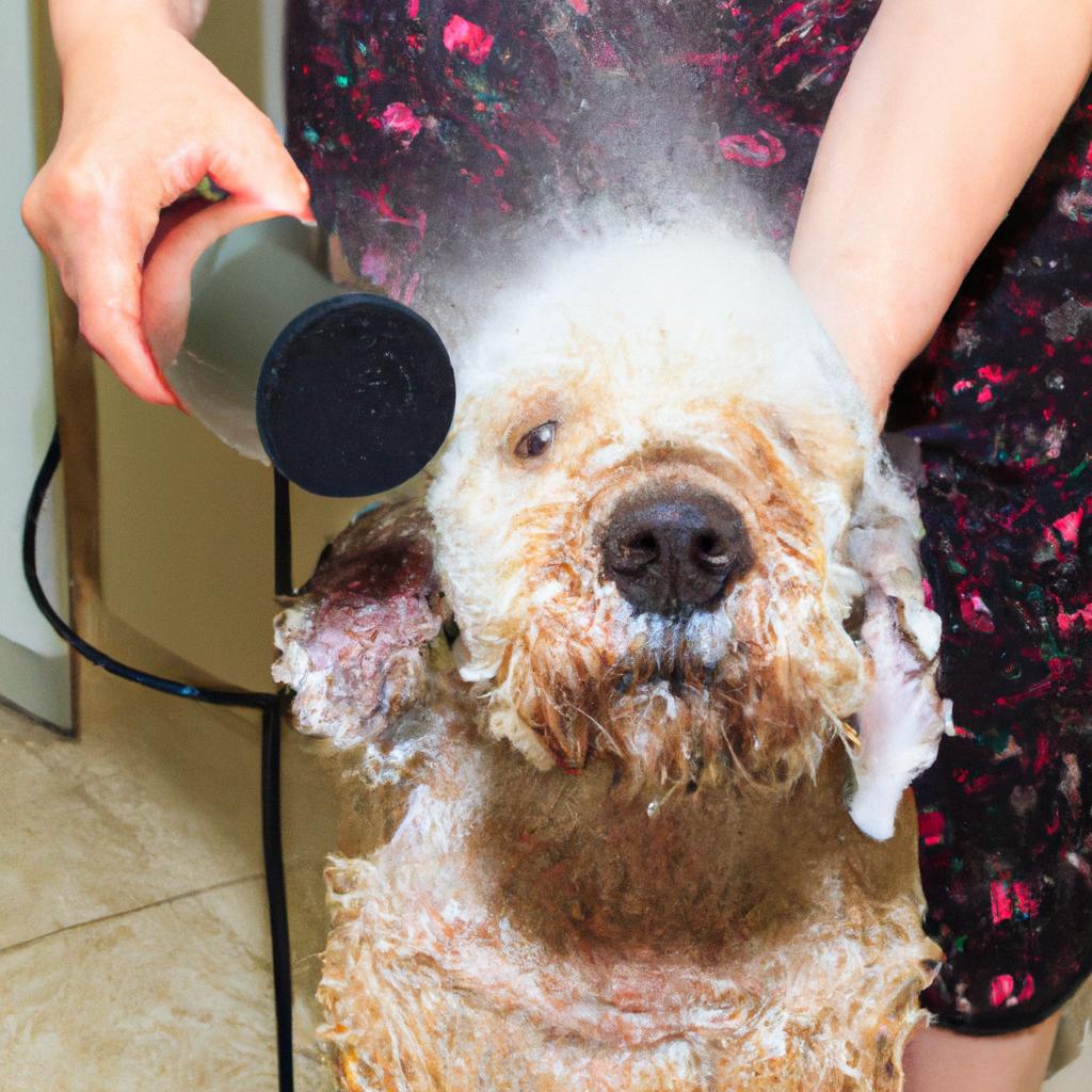 Blow-drying your pet's fur after a bath can help prevent skin irritation and matting.