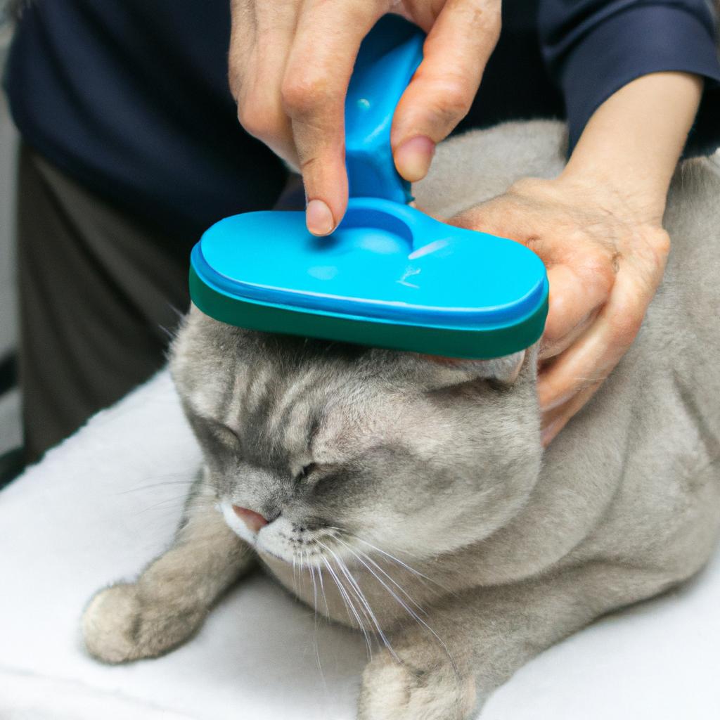 Brushing your pet's fur regularly will keep it clean and healthy.