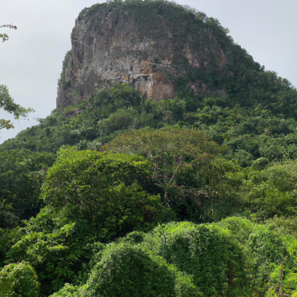 The lush greenery surrounding Piedra del Peol adds to the natural beauty of the landmark.
