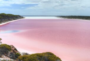 Pink Australia Lake