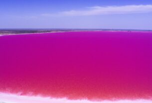 Pink Sea In Australia