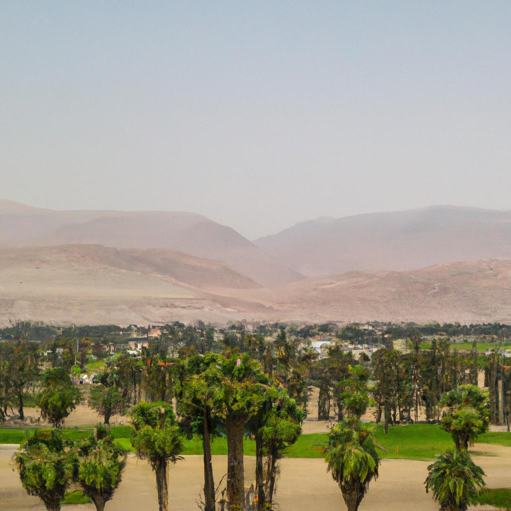Panoramic view of Pisco Oasis valley with mountains in the background