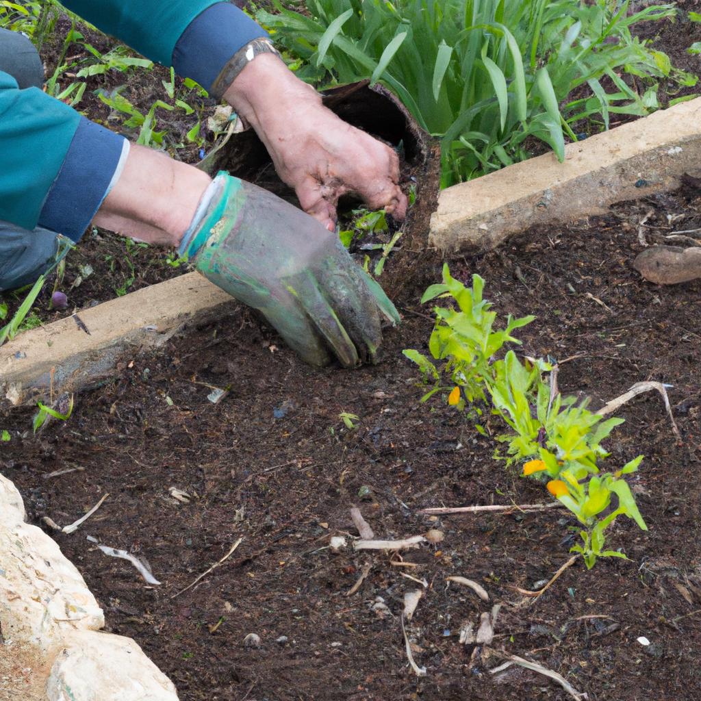 Proper planting techniques are crucial for the health and growth of your vegetables.