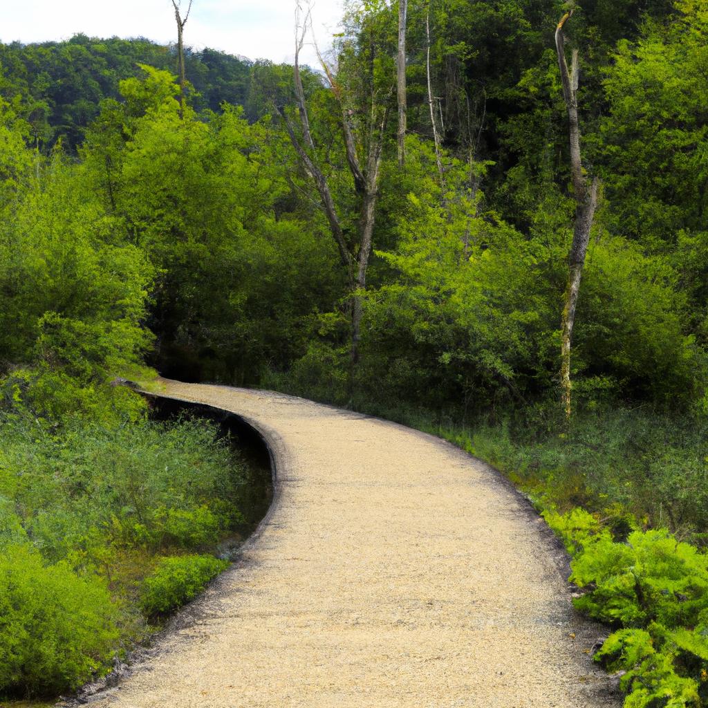 Take a refreshing stroll on the wooden trails amidst the lush greenery of Plitvice Lakes Park