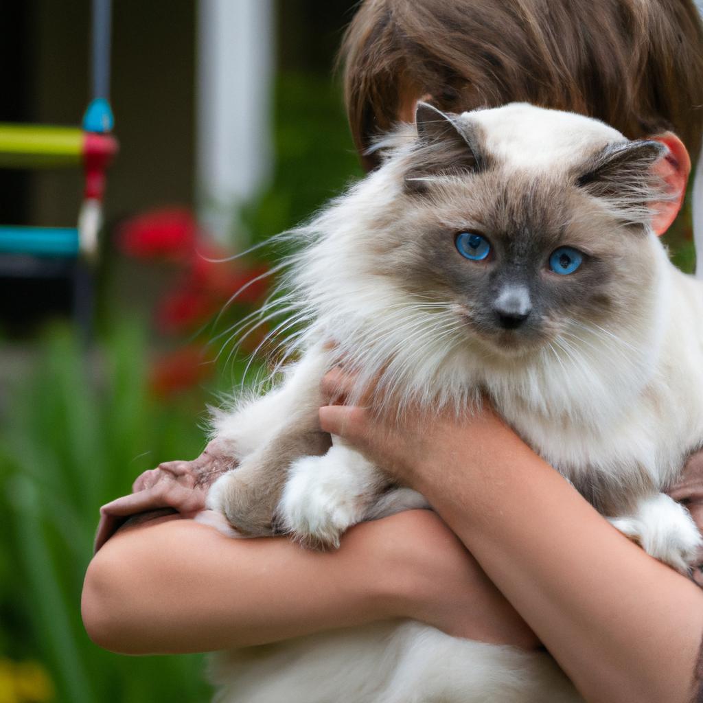 Ragdolls are known for their gentle and docile nature, making them a great match for families with young children