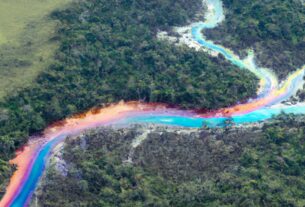 Rainbow River In Colombia