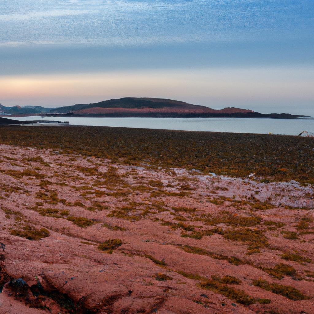 The tranquil beauty of China's red beach at sunrise