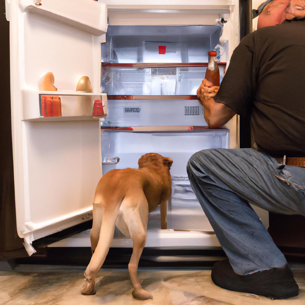 The service dog helping his veteran by opening the refrigerator door.