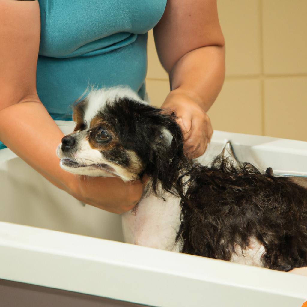 A rescued puppy mill survivor receives much-needed care and attention