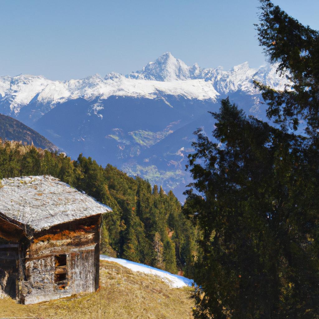 Unwind in a rustic alpine hut and immerse yourself in the beauty of snow-capped peaks and pine trees.