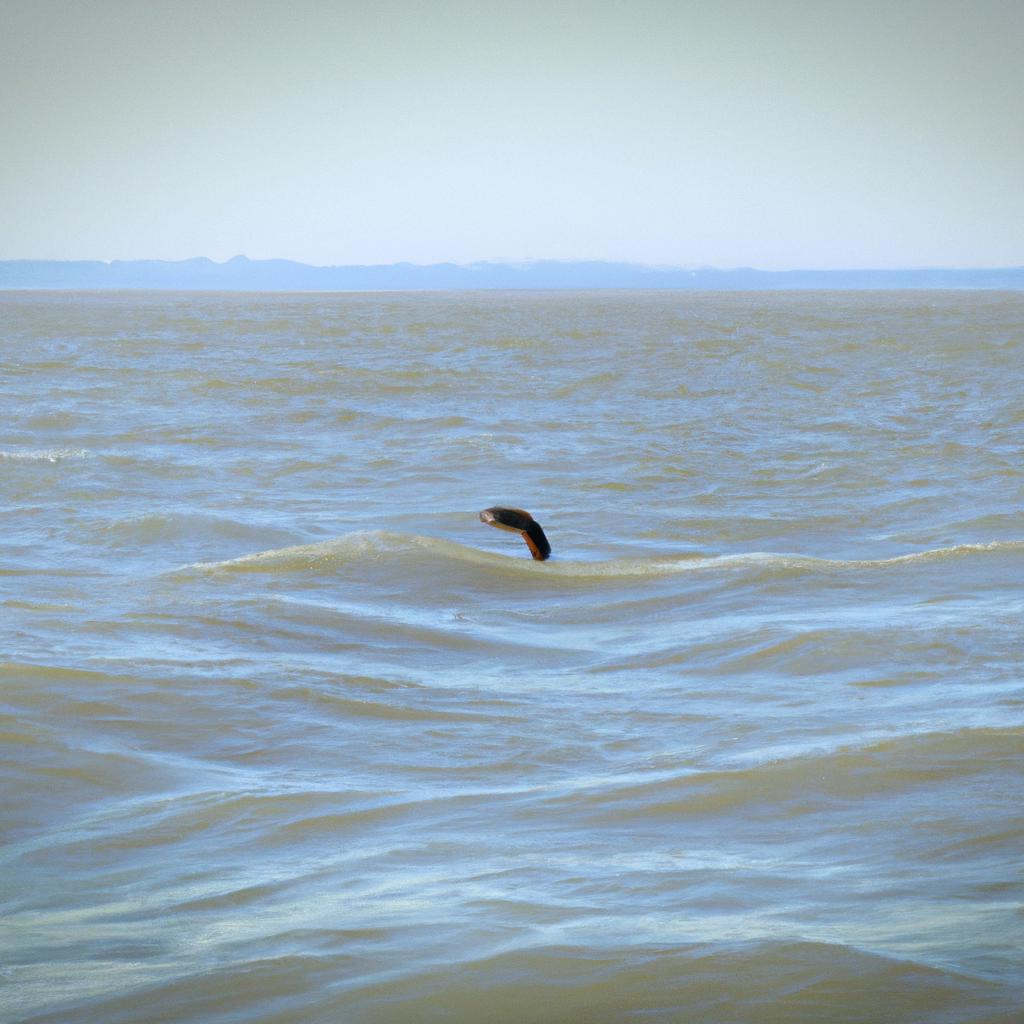 The serpent is known to be a strong swimmer, often spotted near the shores of Saint-Brevin.