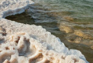 Salt In The Dead Sea