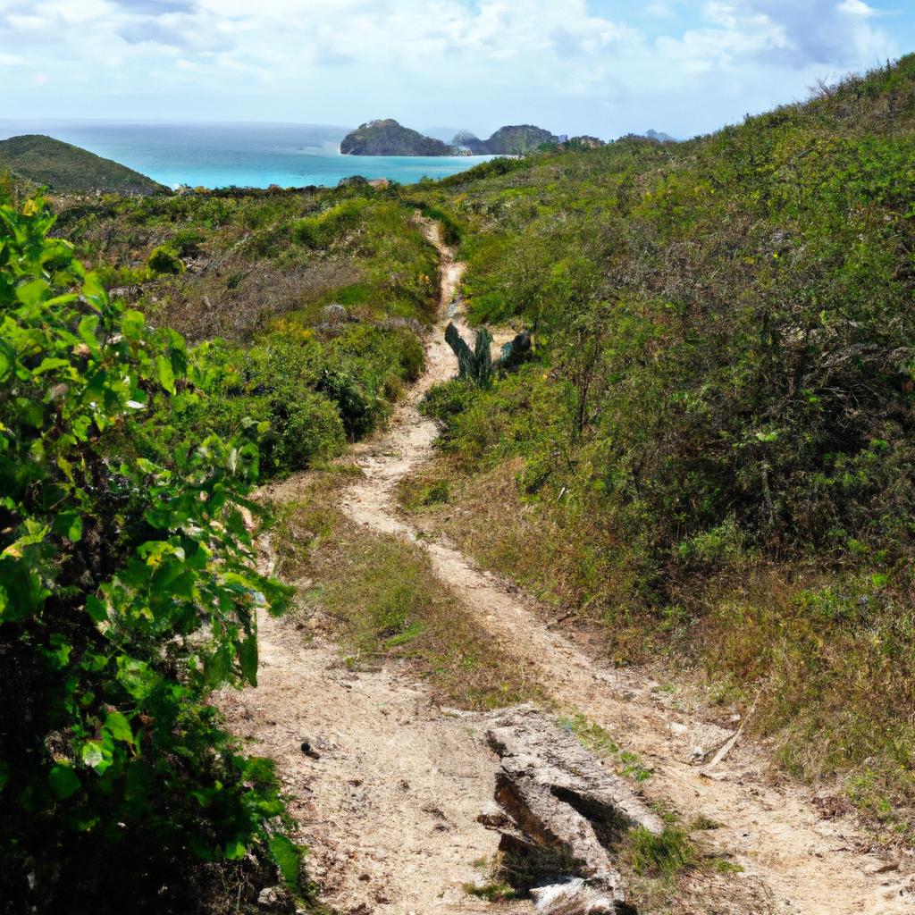 Experience the natural beauty of Canouan Island on a scenic hiking trail through lush greenery.